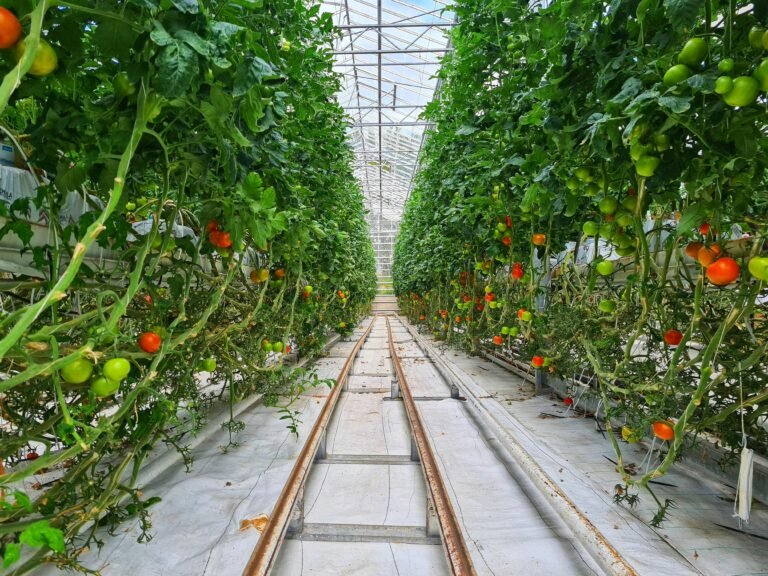 Vertical farming