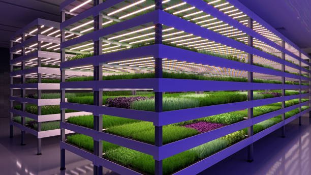 vertical farming