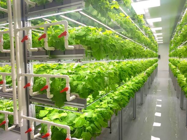 vertical farming