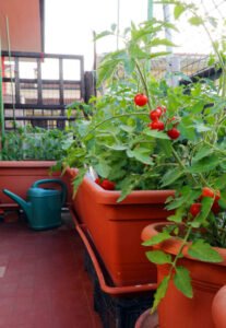 vertical farming at home