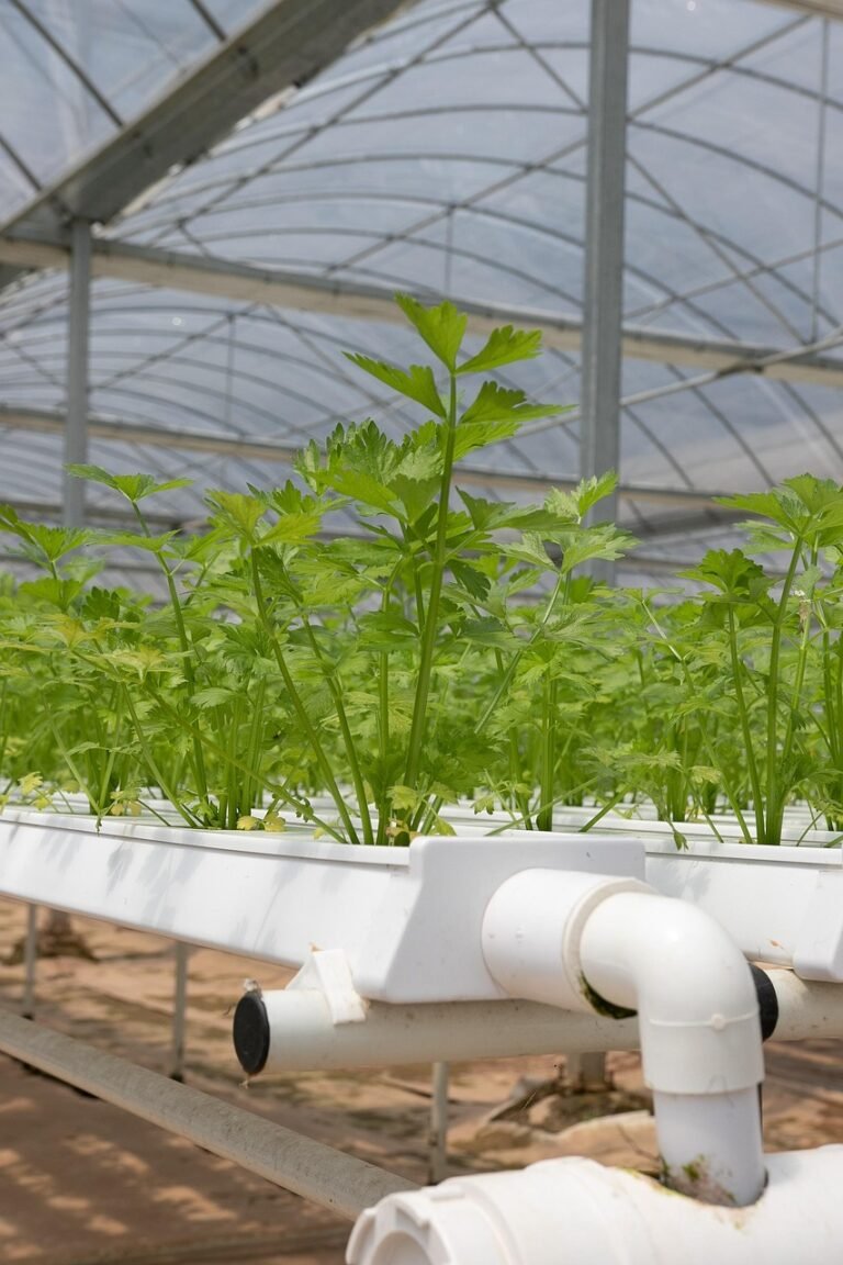 Greenhouse