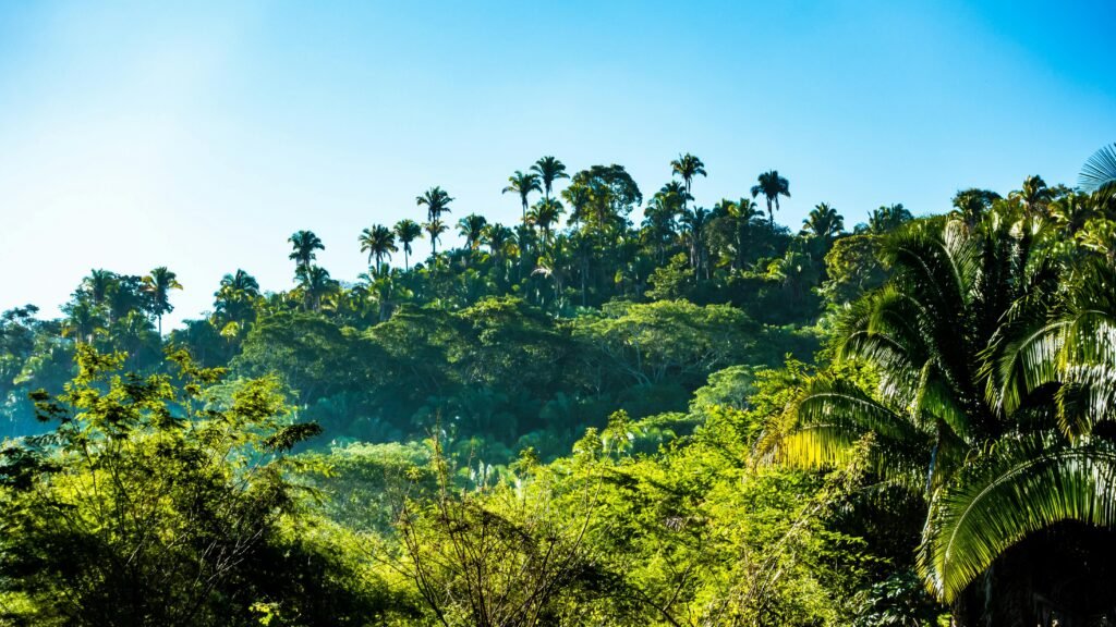 Nature