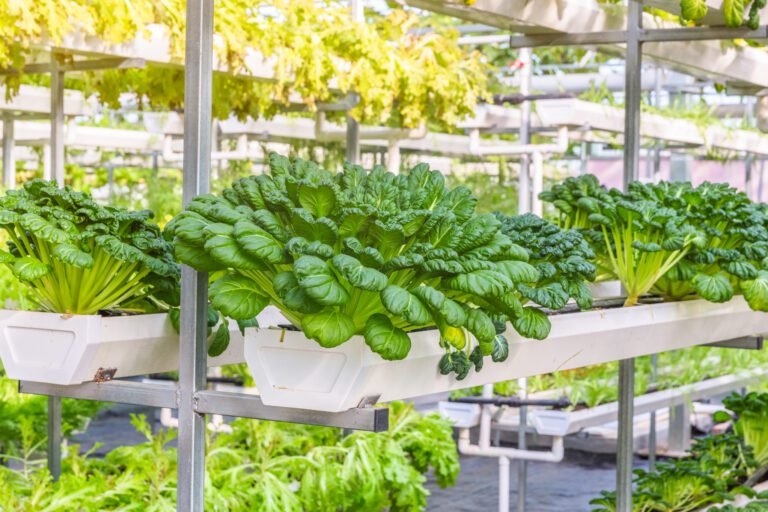 Vertical Farming